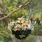 Gardenised Durable Plastic Lace Ultimate Hanging Baskets Tomato, Flower, and Herb Outdoor Flower Planter QI004074 - alternate 8